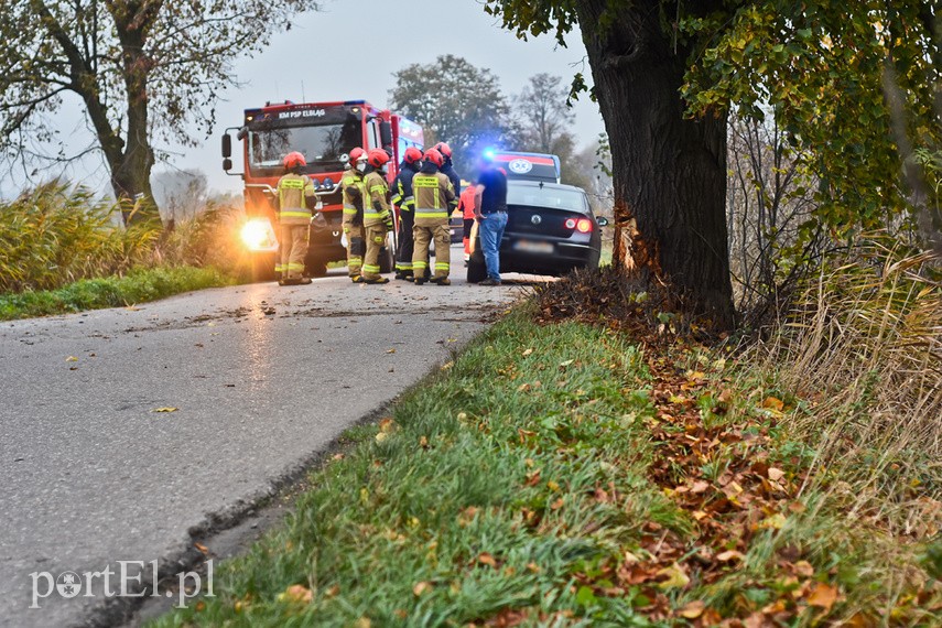 Kobieta kierująca audi uderzyła w drzewo zdjęcie nr 232913