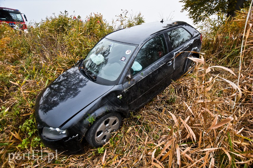 Kobieta kierująca audi uderzyła w drzewo zdjęcie nr 232915