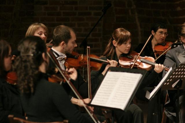 Koncert EOK zdjęcie nr 18953