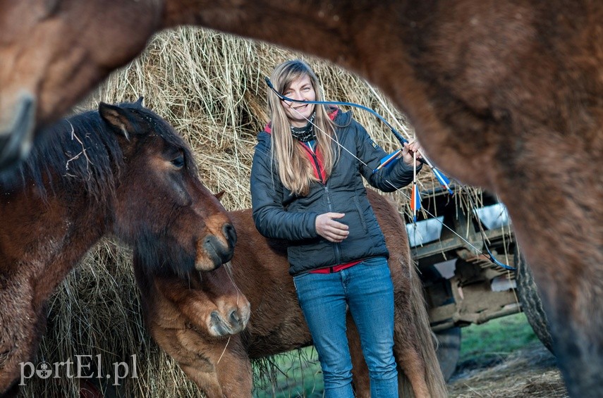 Mistrzowie uczą strzelać z łuku  zdjęcie nr 233311