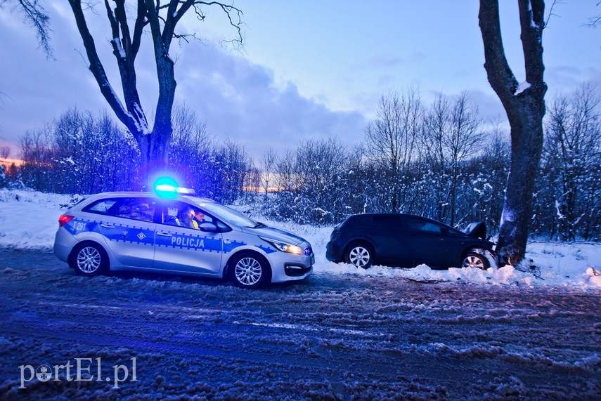 Dwóch kierowców uderzyło w drzewa, jeden z nich był pijany zdjęcie nr 234143