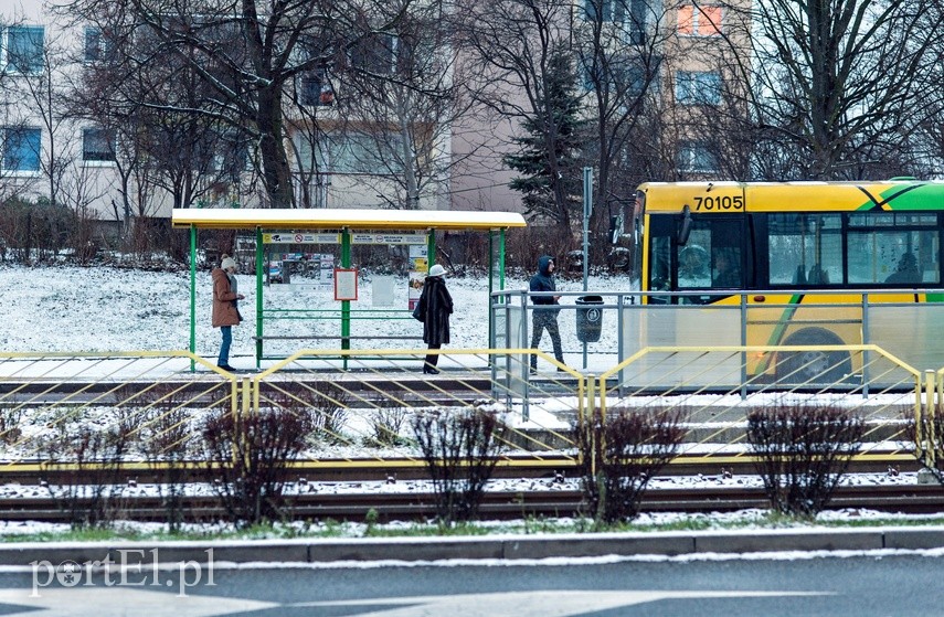 Zielony autobus ulicami miasta mknie.. zdjęcie nr 234339