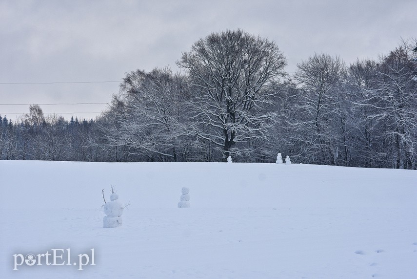 Zimowa armia bałwanów zdjęcie nr 234645