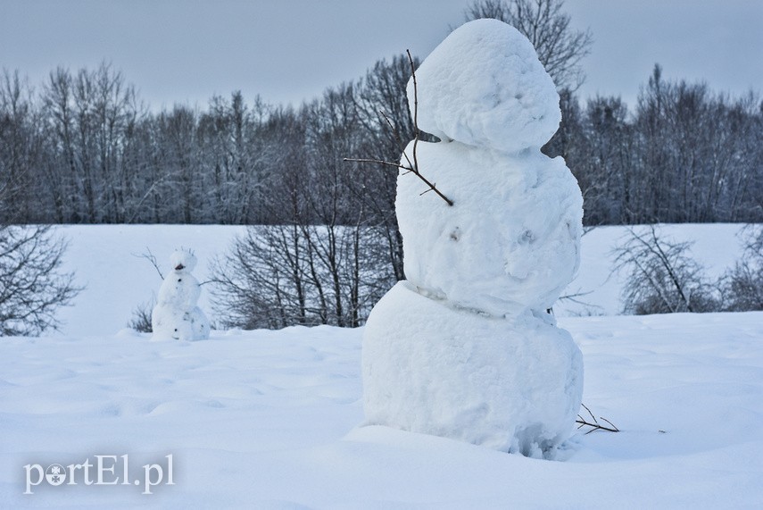 Zimowa armia bałwanów zdjęcie nr 234640