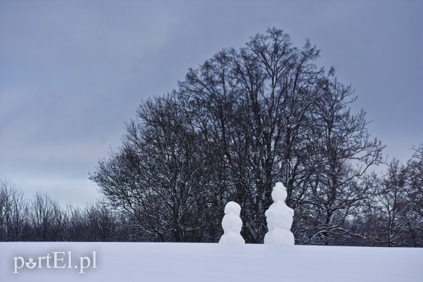 Zimowa armia bałwanów zdjęcie nr 234655