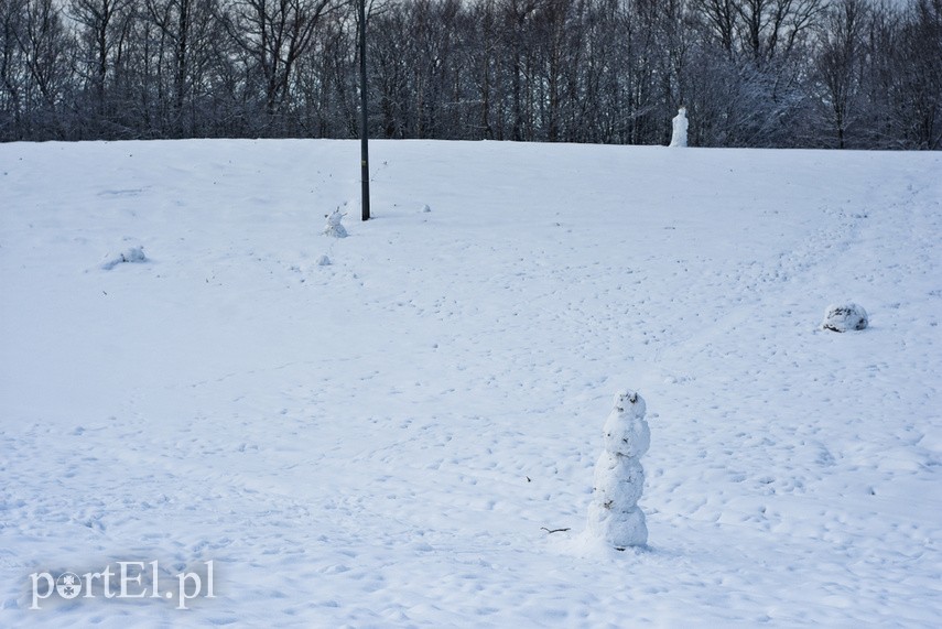 Zimowa armia bałwanów zdjęcie nr 234642