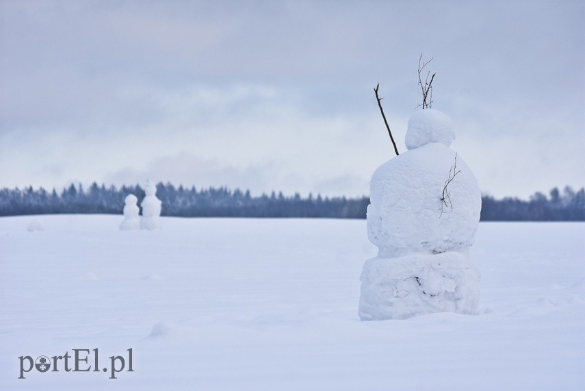 Zimowa armia bałwanów zdjęcie nr 234647