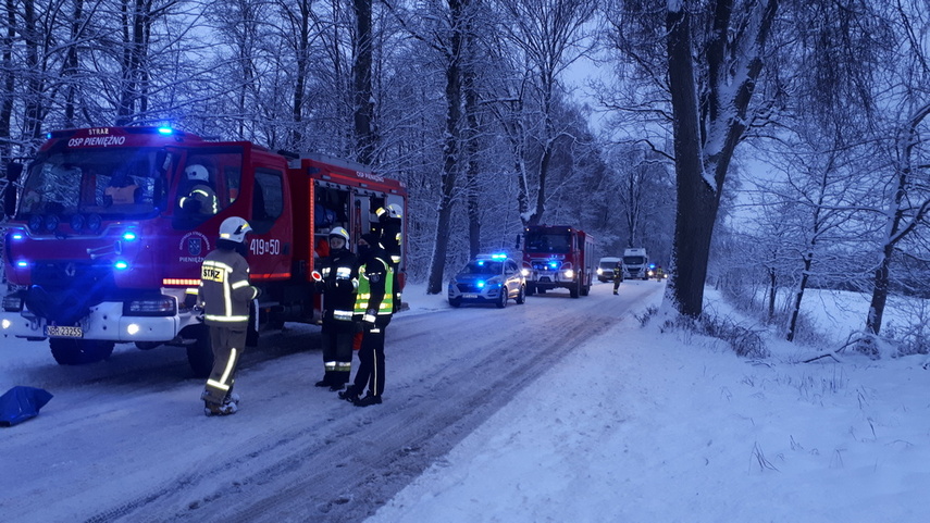 Toyotą uderzył w drzewo zdjęcie nr 234685