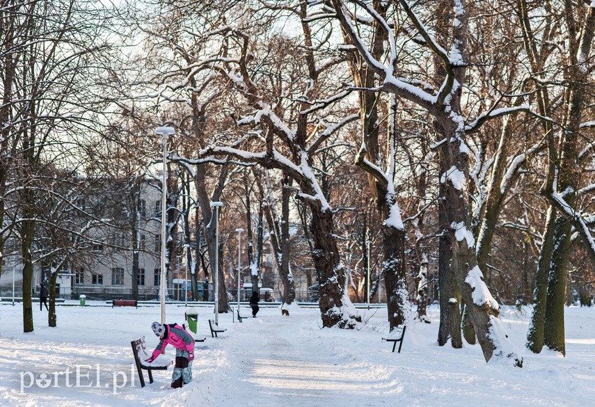 Sypnęło śniegiem! zdjęcie nr 234788