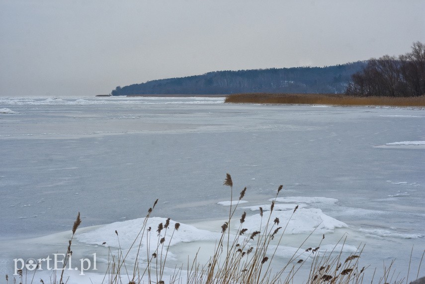 Zamarznięty port w Tolkmicku zdjęcie nr 234827