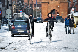 Rosja kontra Szwecja. Elbląg w czasach wielkiej wojny północnej