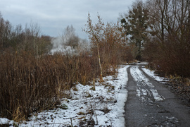 O śmieciach między drogą a rzeką