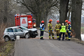 54-latek uderzył renault w drzewo