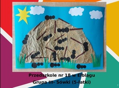 Konkurs Mrówka w Szkole Podstawowej nr 25