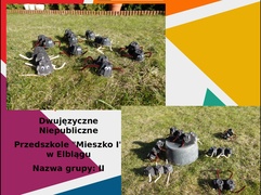 Konkurs Mrówka w Szkole Podstawowej nr 25