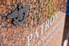 Co słychać u pancerniaków