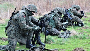 Terytorialsi się szkolą