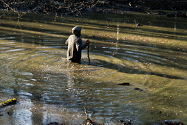 Ekstremalny Rainforest Challenge na Modrzewinie