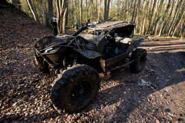 Ekstremalny Rainforest Challenge na Modrzewinie