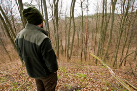Las zmiennym jest (Do lasu z portElem, odc. 1)