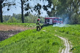 Pożar trzcinowiska, ogień strawił około 3 hektarów terenu