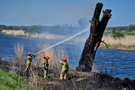 Pożar trzcinowiska, ogień strawił około 3 hektarów terenu