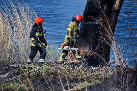 Pożar trzcinowiska, ogień strawił około 3 hektarów terenu