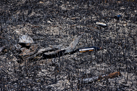 Pożar trzcinowiska, ogień strawił około 3 hektarów terenu