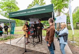 \"Tysiąc drzew na minutę\"