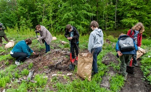 \"Tysiąc drzew na minutę\"