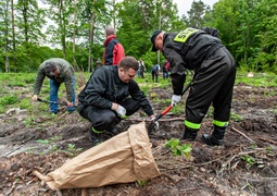 \"Tysiąc drzew na minutę\"