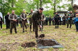 \"Tysiąc drzew na minutę\"