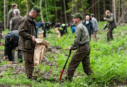 \"Tysiąc drzew na minutę\"