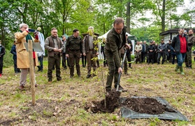 \"Tysiąc drzew na minutę\"