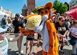 Dzień dziecka na starówce