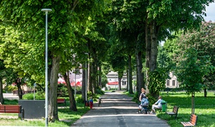 Miejskie parki czekają zmiany zdjęcie nr 241118