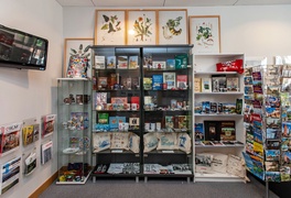 Turystycznie do Elbląga