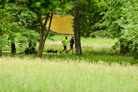 Elbląg zadebiutował w parkrun