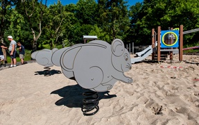 Jak zmienia się park Dolinka