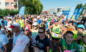 Przybyłem, zobaczyłem, zwyciężyłem