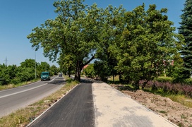 Kładką przez Kumielę