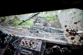 Piknik Rainforest Challenge Poland na Modrzewinie