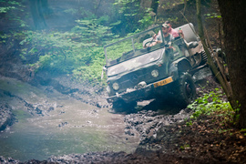 Piknik Rainforest Challenge Poland na Modrzewinie