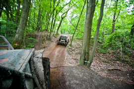 Piknik Rainforest Challenge Poland na Modrzewinie
