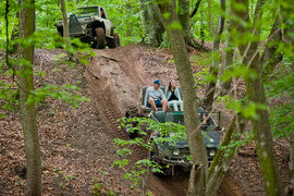 Piknik Rainforest Challenge Poland na Modrzewinie