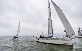 Regaty o puchar marszałka Zalewie Wiślanym