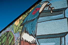 Skrzydlata w żywszych barwach