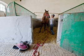 Z Rzecznej do Tokio na igrzyska olimpijskie 