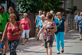 Śladami winnicy i Napoleona