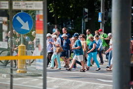 Śladami winnicy i Napoleona